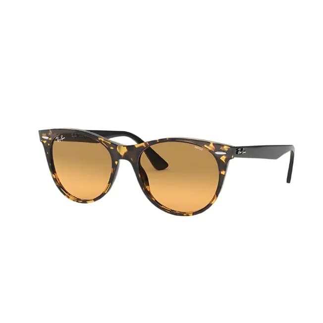 Wayfarer II 2185 Evolve
